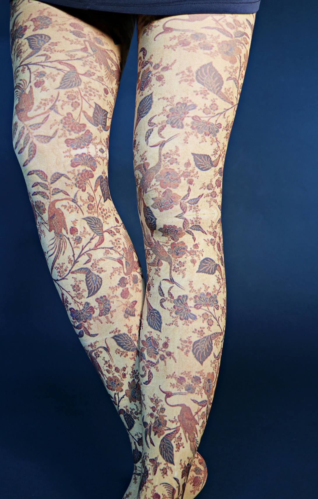 Womens Fashion Tights | Museum Art Printed – Tabbisocks