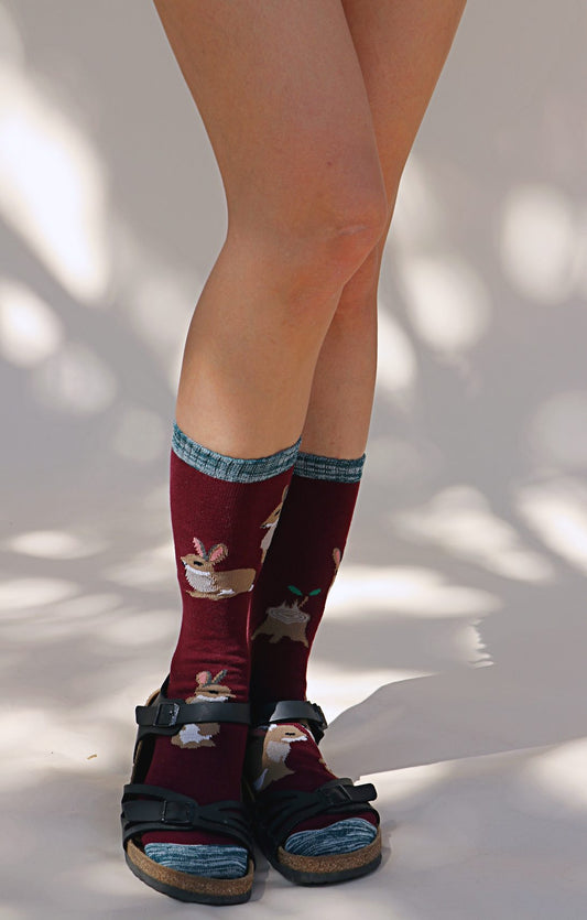 TABBISOCKS brand Replant Pairs Bunny Socks in a reddish-brownish burgundy color, with brown rabbit design throughout, and navy blue point color at the toe and footwear opening