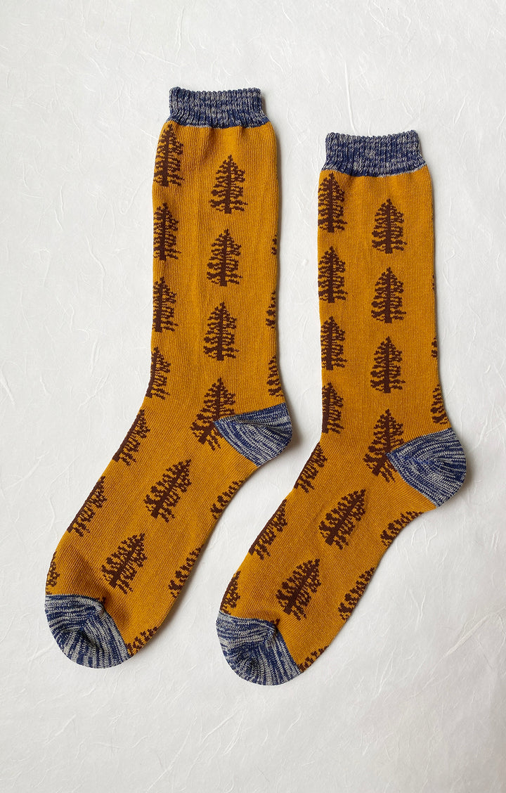 TABBISOCKS brand Replant Pairs Tree Socks in Mustard color with a Grey color at the cuff and toe and a brown tree design throughout the sock.