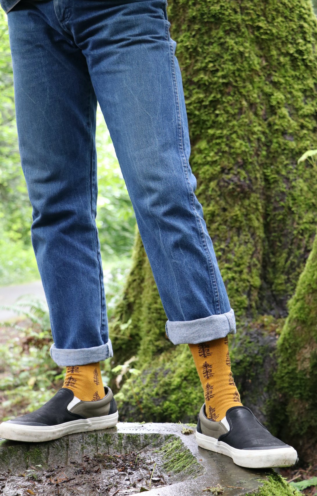 TABBISOCKS brand Replant Pairs Tree Socks in Mustard color with Grey color at the cuff and toe for the insert color, and a woman in jeans wearing socks with a brown tree design overall standing in the forest