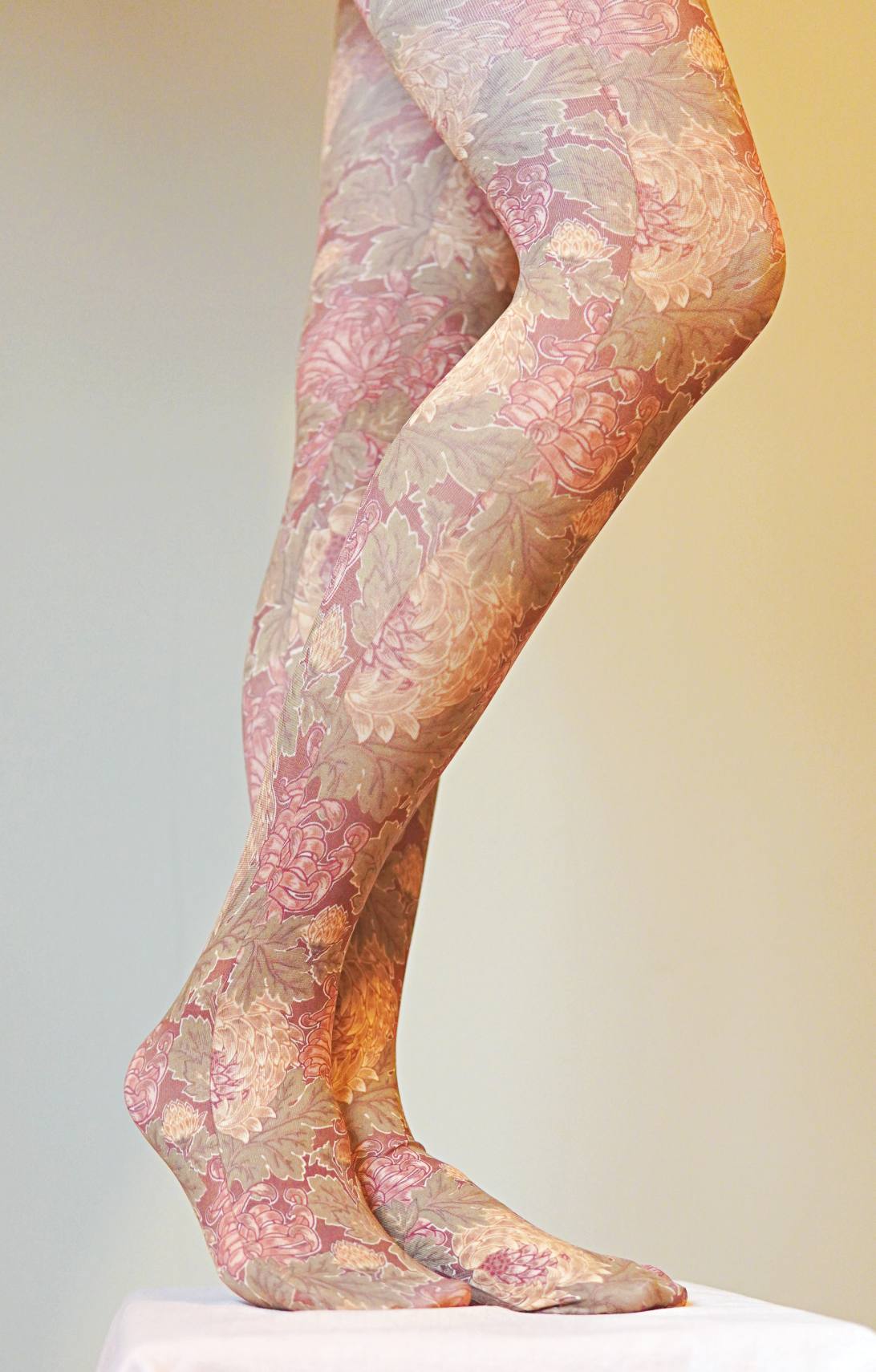 Womens Fashion Tights | Museum Art Printed – Tabbisocks
