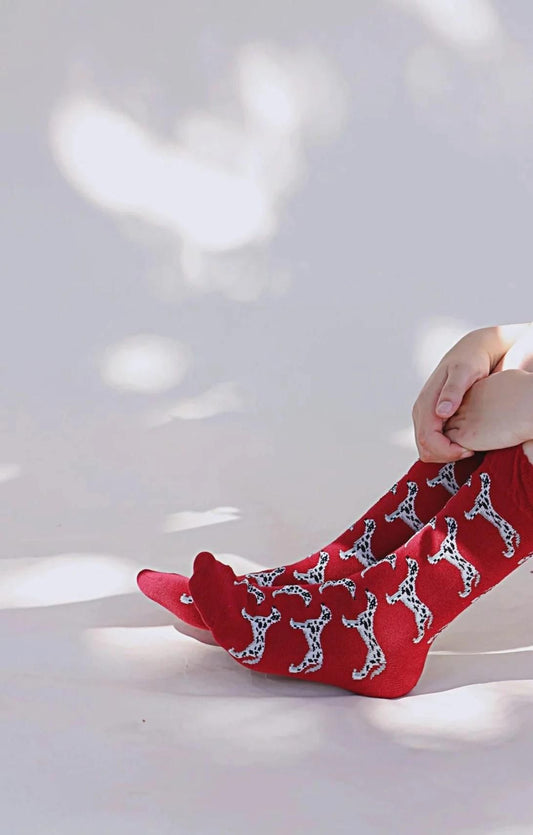 Sitting person's feet wearing socks with an overall illustration of a white and black Dalmatian in DARK RED color on a product called Animal Rescue Pairs Dalmatian by TABBISOCKS brand