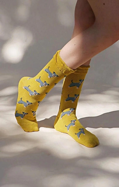 TABBISOCKS brand Animal Rescue Pairs Schnauzer Socks in BITTER YELLOW with an overall illustration of Schnauzer in GREY on the leg of a woman wearing socks