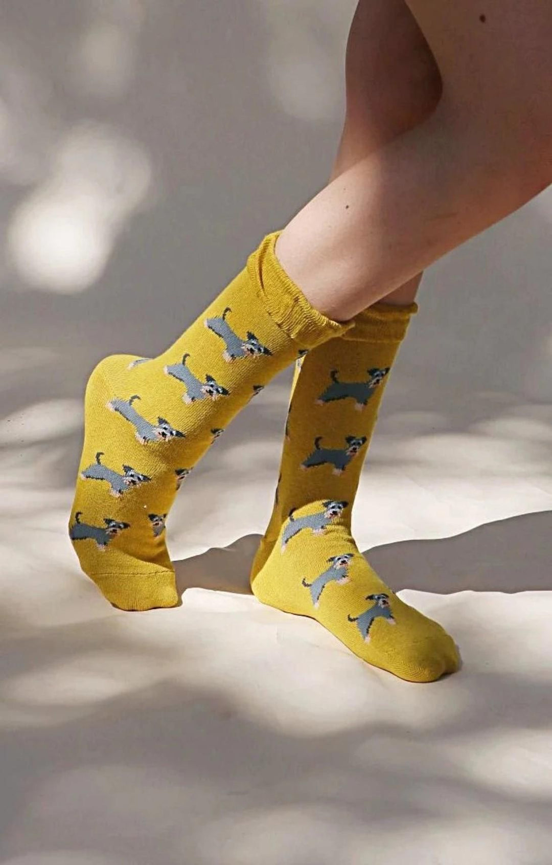 TABBISOCKS brand Animal Rescue Pairs Schnauzer Socks in BITTER YELLOW with an overall illustration of Schnauzer in GREY on the leg of a woman wearing socks