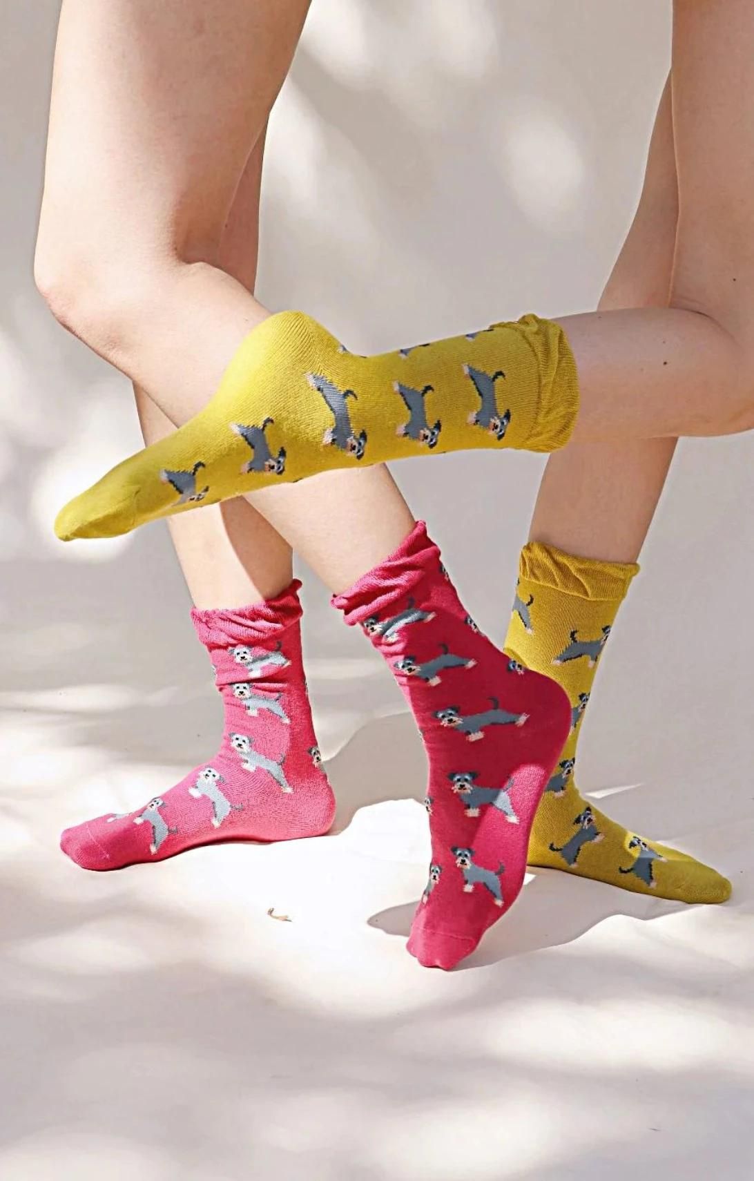 Female leg wearing TABBISOCKS brand Animal Rescue Pairs Schnauzer Socks in CERISE PINK and BITTER YELLOW colors, respectively